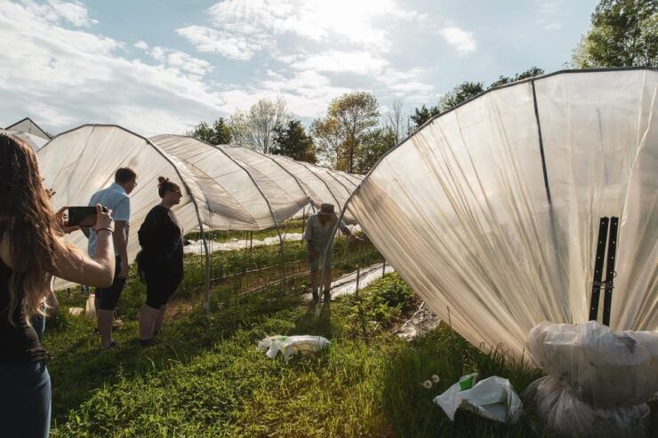 Unique Gourmet Tour Visiting Quebec Farms Near Montreal - Good To Know