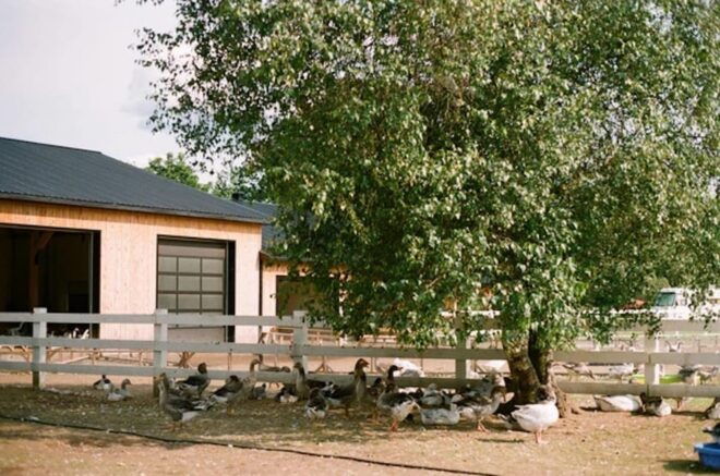 Unique Gourmet Tour Visiting Quebec Farms Near Montreal - Preparation and Important Information