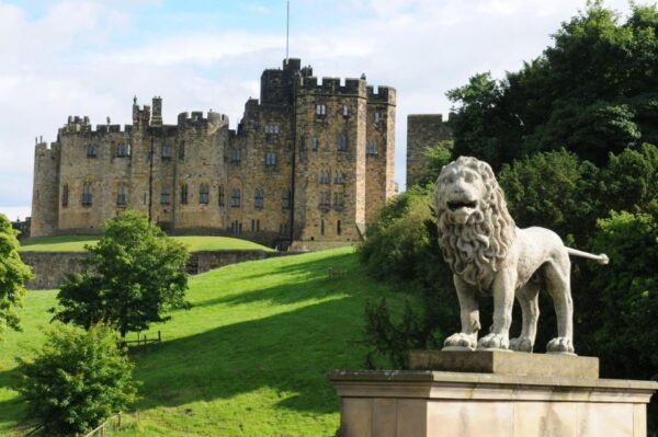 Unique Heritage: Newcastle Private Walking Tour - Common Questions