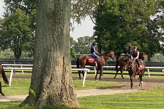 Unique Horse Farm Tours With Insider Access to Private Farms - Treat the Horses to Their Favorite Peppermint Treats