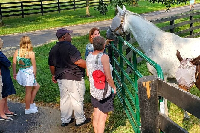 Unique Horse Farm Tours With Insider Access to Private Farms - Guaranteed Tour With Minimum Traveler Requirement