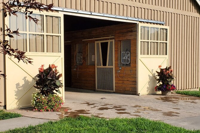 Unique Horse Farm Tours With Insider Access to Private Farms - Rave Reviews From Satisfied Visitors