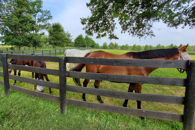 Unique Horse Farm Tours With Insider Access to Private Farms - Common Questions