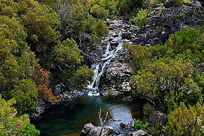 Unique Madeira Lakes Walk - Discover the Beauty of Madeira Lakes