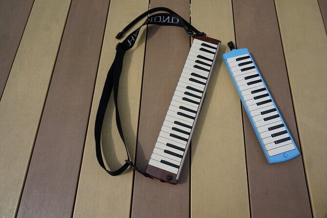 Unique Music Experience with Melodica originated in Japan - The Sum Up