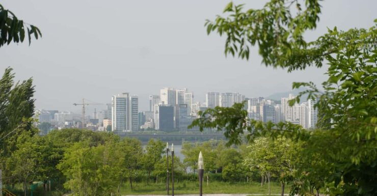 Unique Native Experience : Han River Picnic, Board Game, BBQ - Pricing Details