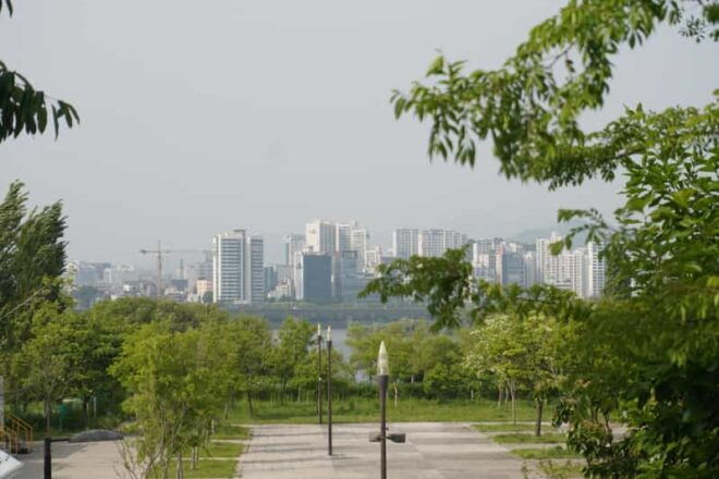 Unique Native Experience : Han River Picnic, Board Game, BBQ - Included Activities