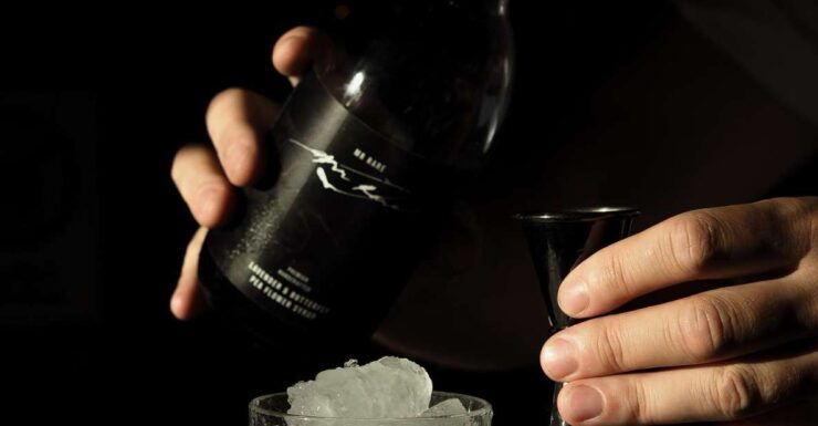 Unique Premium Gin&Tonic Tasting - Premium Gin Selection Offered