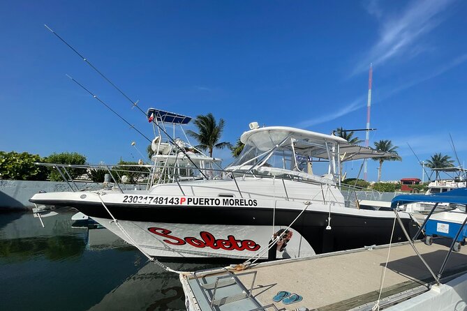 Unique Price per Group 4h Till 8 Pax (No Hidden Charges) - What to Expect