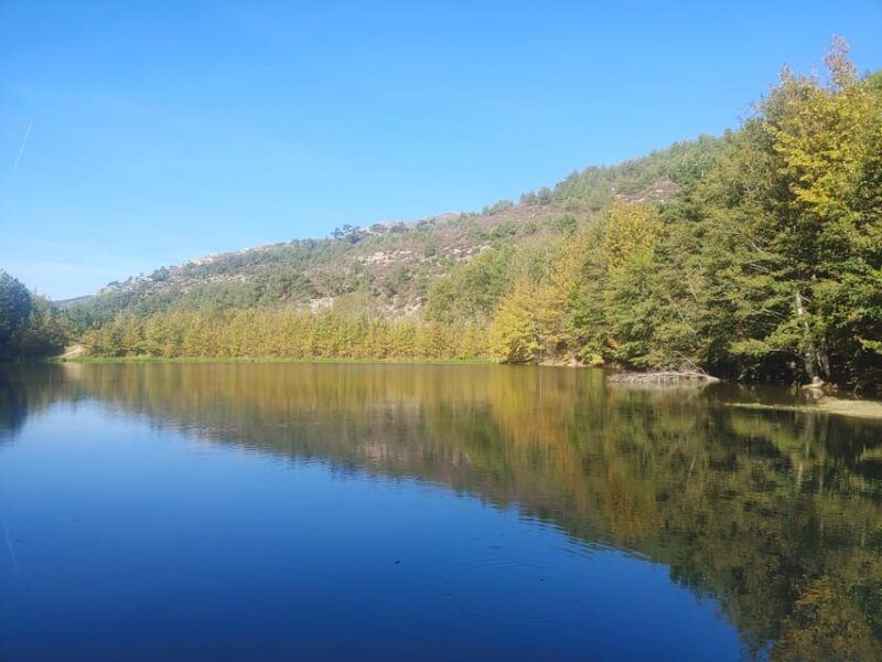 Unique Private Jeep Tour Thasos Island - Final Thoughts: Who Will Love This Tour?
