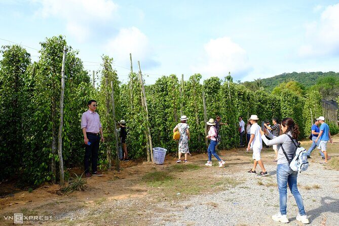 Unique Private Land Tour in South Phu Quoc Island - Final Thoughts