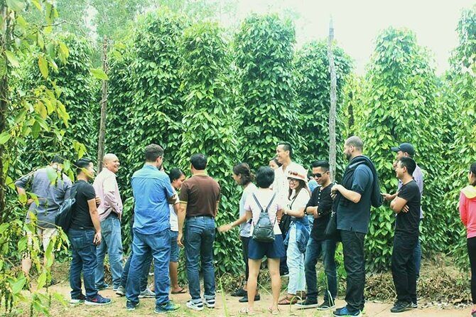 Unique Private Land Tour in South Phu Quoc Island - Frequently Asked Questions