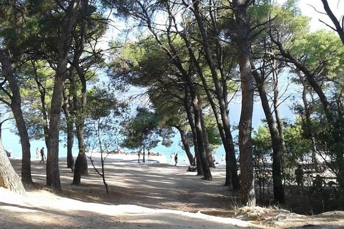 Unique Routes on Electric Scooters- Beaches and Riva Promenade ! - Hidden Gem Exploration