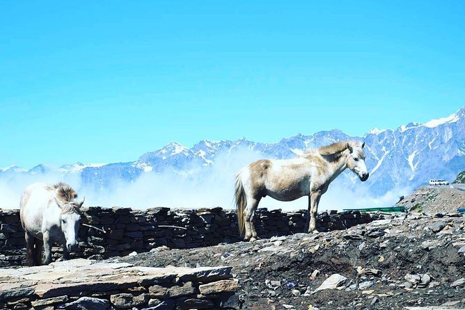 Unique Shimla and Manali Tour - Highlights of Shimla