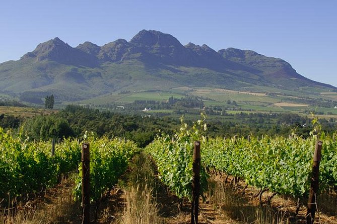 Unique Stellenbosch Winelands Tour With Optional 4x4 Wine Drive - Price and Additional Information