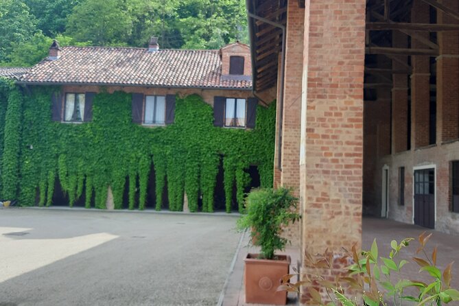 Unique Wine Tasting at the Winery of the Marchesi Incisa Della Rocchetta - Experience & Activities