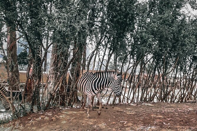 Unity Park Half Day Tour in Ethiopia - Good To Know