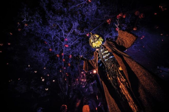 Universal Orlando Resort: Halloween Horror Nights - Haunted Houses and Scare Zones