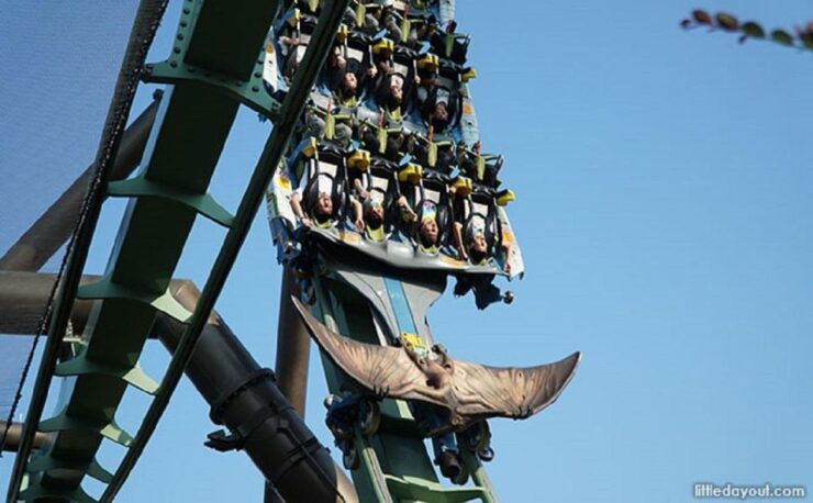 Universal Studios Japan Entry Pass & Shared 1-way Transfer - Experience