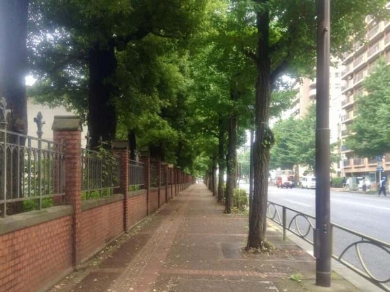 University of Tokyo Tour  Explore Japans Oldest University - Good To Know