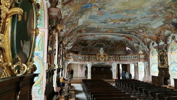 University of Wrocław – Discover This Place With a Guide! - Tips for Your Visit