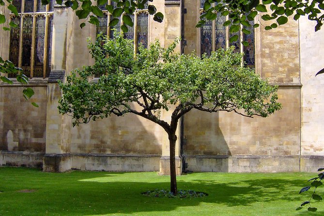 University Walking Tour - The Sum Up