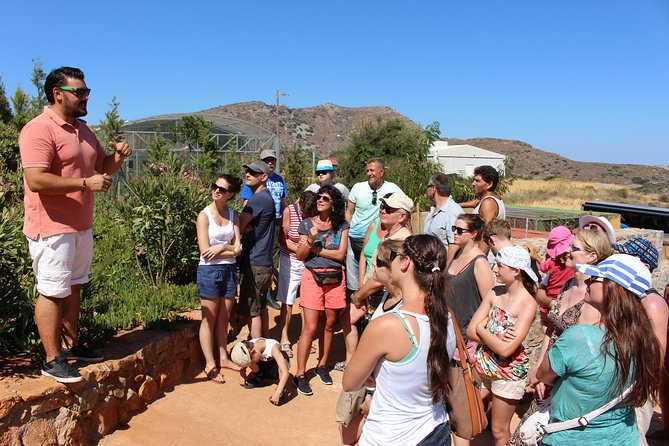 Unknown East - Agios Nikolaos Kritsa and Amazonas Park - Terms & Conditions