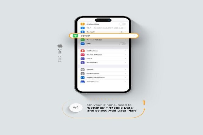 Unlimited Internet With Esim Mobile Data in Rome and Italy - Meeting and Pickup Details
