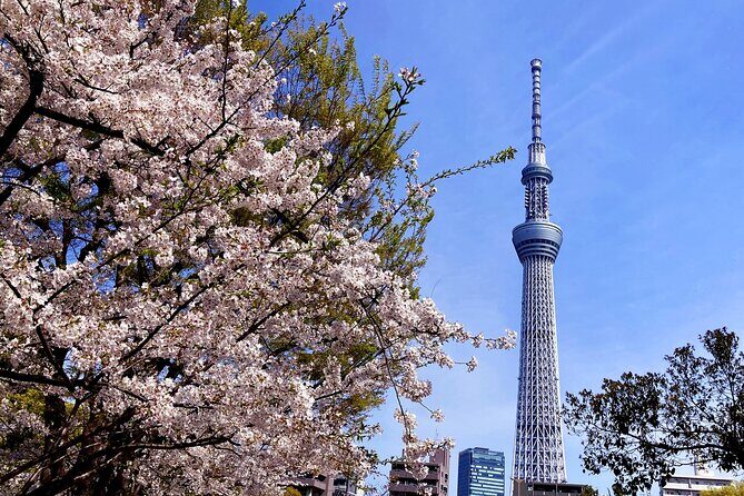 Unlock Hidden Tokyo: Private Custom Tour with a Local guide - Who Should Consider This Tour?