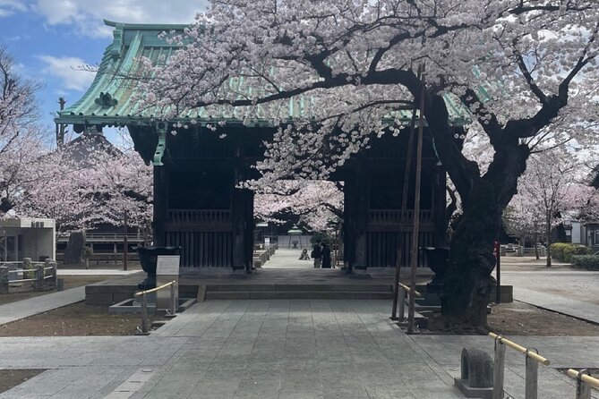 Unlock Tokyo for Your City Private Adventure - The Sum Up