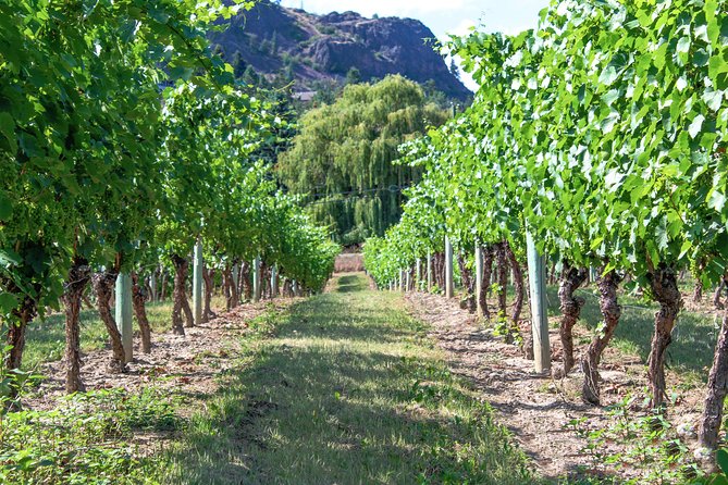 Unmatched Private Wine Tours for Up to 11 in Kelowna Area - Common Questions