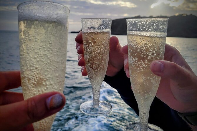 Unrivalled Coastal Tour to Saints Bay Harbour - Frequently Asked Questions