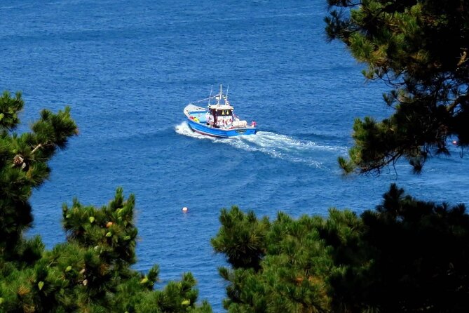 Unrivalled Coastal Tour to Saints Bay Harbour - The Sum Up