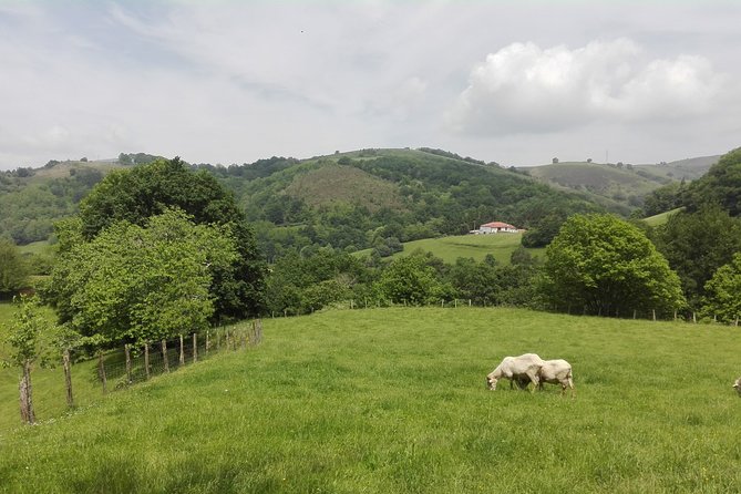 Unspoiled FRENCH BASQUE COUNTRYSIDE - Private Cultural Adeventure - Reviews