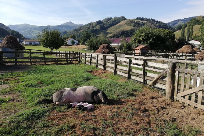 Unspoiled FRENCH BASQUE COUNTRYSIDE - Private Cultural Adeventure - Background