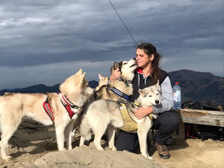 Unterallgäu: Wiedergeltingen Guided Hike With Huskies - Experience Highlights