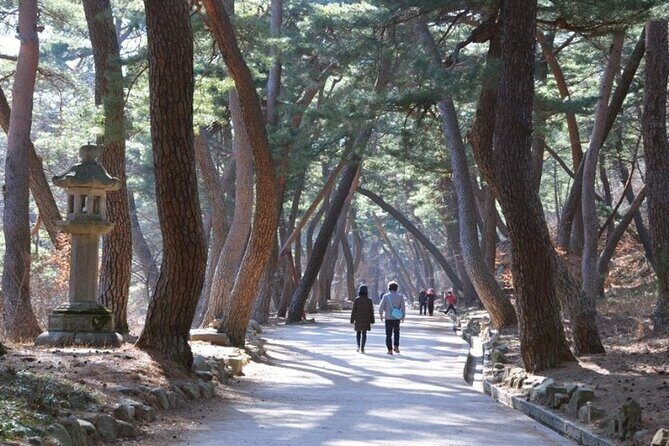 Untold Stories of Koreas Spiritual Jewel at Tongdosa - Who Will Love This Tour?