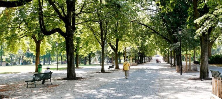 Unusual Audio Tour of Geneva - A Unique Audio Experience