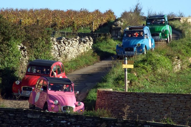 Unusual Exploration of the Terroirs of Burgundy in 2CV - From 6 People - Exploring Burgundys Terroirs
