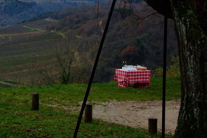 Unusual Exploration of the Terroirs of Burgundy in 2CV - From 6 People - Expert Guidance and Commentary