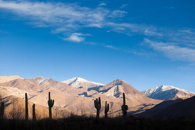 Unveiling Cafayate: Premium Wine Road Adventure - Tour Details