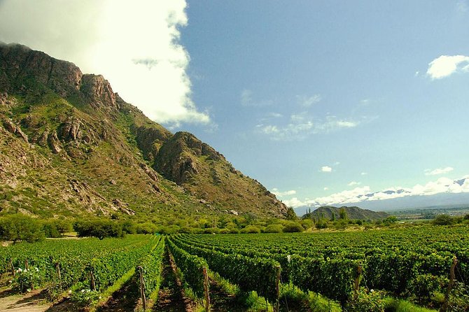 Unveiling Cafayate: Premium Wine Road Adventure - Additional Information
