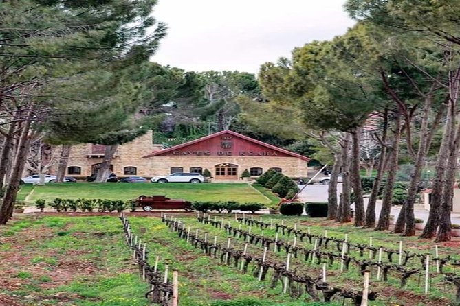 Unveiling the Charms of Chouf Cedars, Baalbek Temples & Ksara - Reviews and Rating