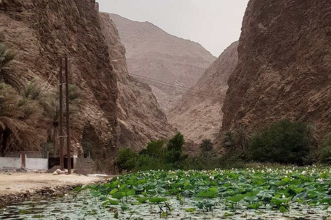 Unveiling the Hidden Paradise Wadi Shab Expedition - Tour Details