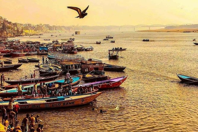 Unveiling the Soul of Kashi: A One-Day Pilgrimage - Price and Booking