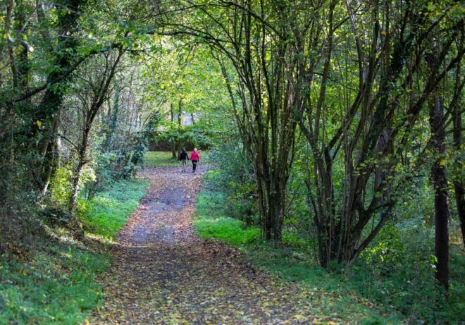 Unveiling the Treasures of Mons Walking Adventure - Experience and Atmosphere