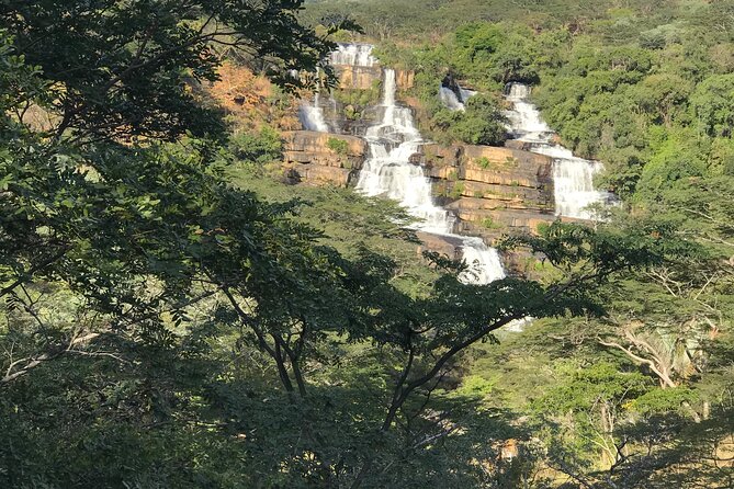 Unzip Hidden Tanzanias Attractions - Tarangire National Park Safari