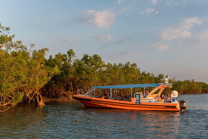 Up the Creek 1 Hour Darwin Harbour Cruise - What To Expect