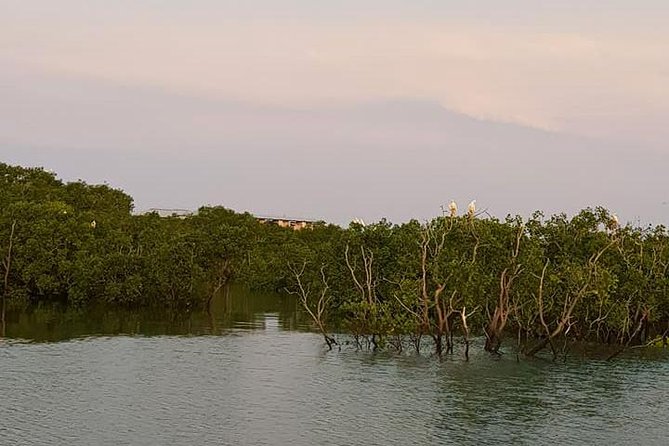 Up the Creek 1 Hour Darwin Harbour Cruise - Additional Information