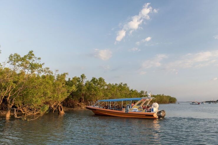 Up the Creek: Darwin Harbour Afternoon Cruise - Experience Highlights